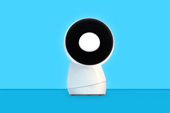 Case Study: Back-End Development for the First Social Robot