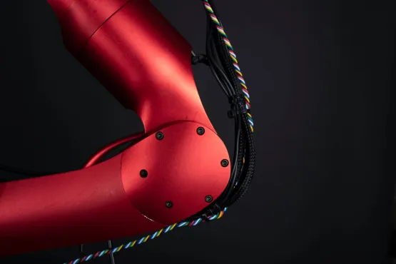 Computer Vision for a Legged Robot